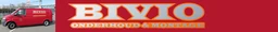 Logo BIVIO