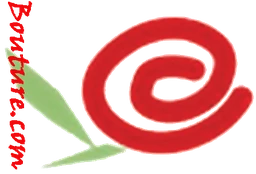 Logo Bouture
