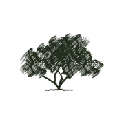 Logo CARTERRE