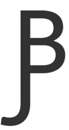 Logo EARL BURCKEL JUNG DOMAINE