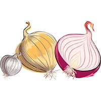Logo FRESH ONIONS
