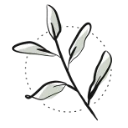 Logo O'Green