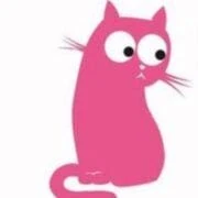 Logo Kattenopvang Waasland