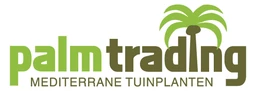 Logo Palm-Trading