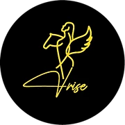 Logo V-Rise
