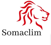 Logo SOCIETE DE MAINTENANCE ET DE CLIMATISATION