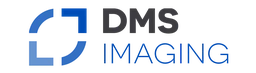 Logo DEVELOPMENT MICROSYSTEMS AND SOFT