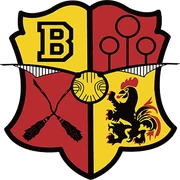 Logo Belgian Quadball Federation