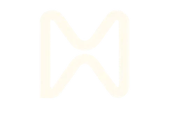 Logo MetaFlow