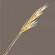 Logo RIETDEKKERS DIELIS