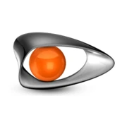 Logo D-Sight