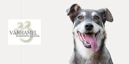 Logo VANHAMEL