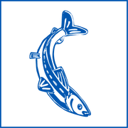 Logo De Zilvervis