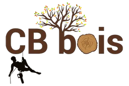 Logo CB BOIS