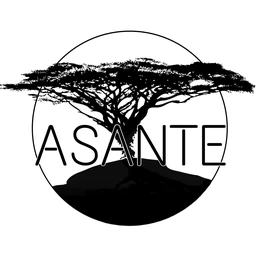 Logo ASANTE