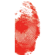 Logo De Zomer van Wechel