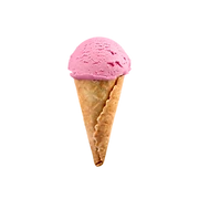 Logo DV ICE