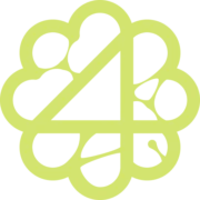 Logo Vision 4 Body