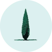 Logo SISAHM
