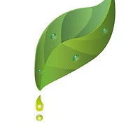 Logo GREEN FRIX