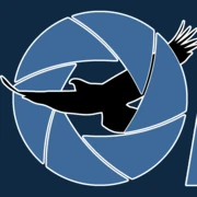 Logo ODI