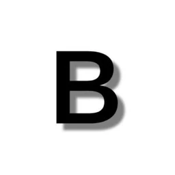 Logo BRUUZ