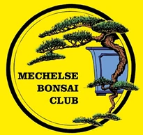 Logo MECHELSE BONSAI CLUB