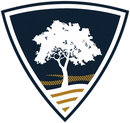 Logo Millennium vzw