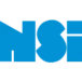 Logo NSI IT Software & Services