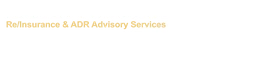 Logo AMEYA CONSULTING