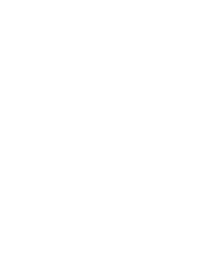 Logo Steki