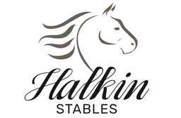 Logo HALKIN STABLES