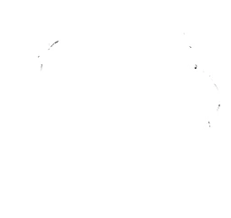 Logo QWOOD
