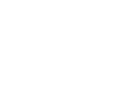 Logo G95