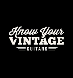 Logo DAILY VINTAGE GUITARS