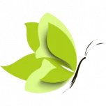 Logo VAN DE LAER