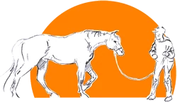 Logo Bichat, le cheval autrement