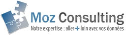 Logo MOZ CONSULTING