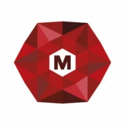 Logo MAMS