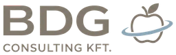 Logo BDG Consulting