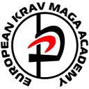 Logo The Academy