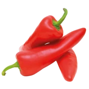 Logo GROBAR