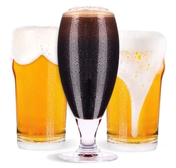 Logo Stravbier