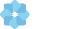 Logo THE SAFE GROUP