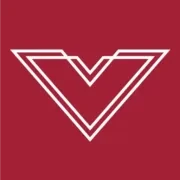 Logo BIG V