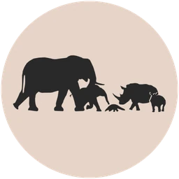 Logo Izindlovu Fund