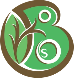 Logo BOSSAER