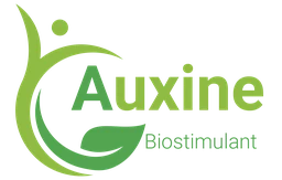 Logo AUXINE