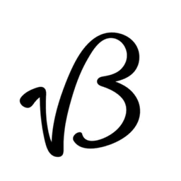 Logo Bollebus