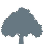 Logo A'DIEU